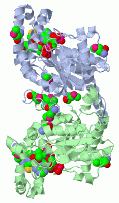 Image Biol.Unit 1 - manually