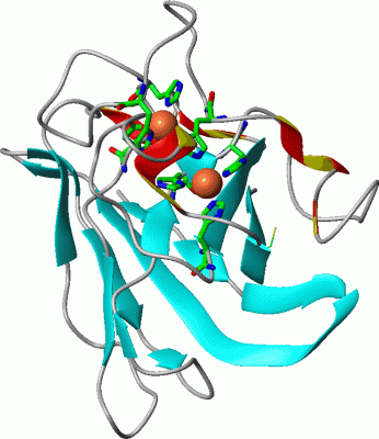 Image Asym./Biol. Unit - manually