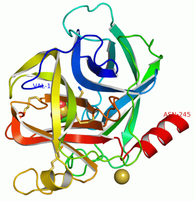 Image Asym./Biol. Unit - manually