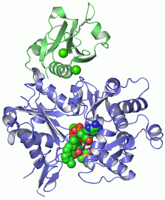 Image Asym./Biol. Unit - manually