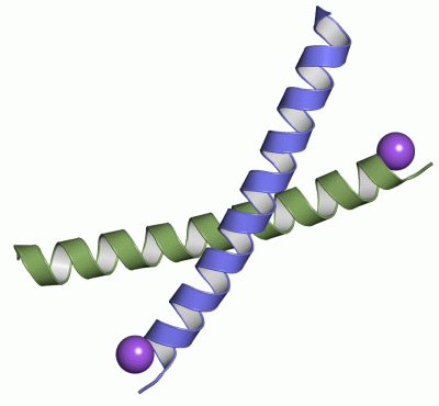 Image Asym./Biol. Unit - manually