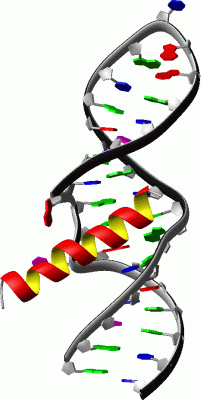 Image NMR Structure - manually