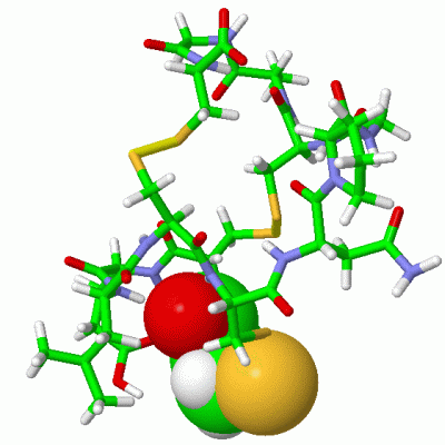Image Asym./Biol. Unit - manually