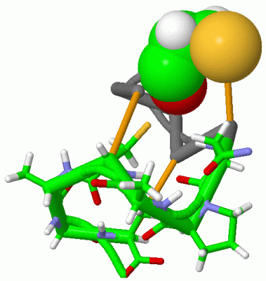 Image Asym./Biol. Unit - manually