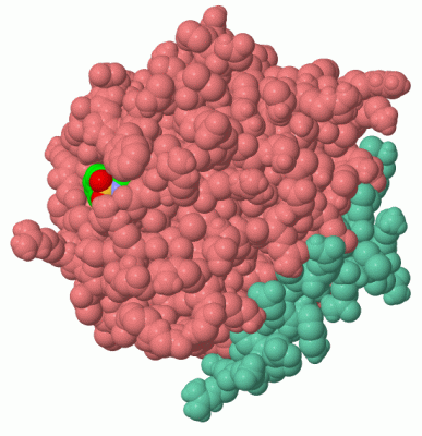 Image Asym./Biol. Unit - manually
