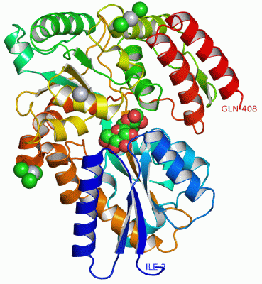 Image Asym./Biol. Unit - manually