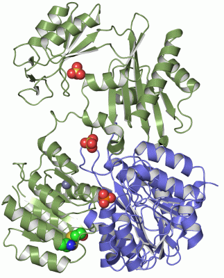 Image Asym./Biol. Unit - manually