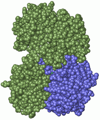 Image Asym./Biol. Unit - manually