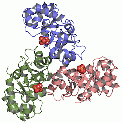 Image Asym./Biol. Unit - manually