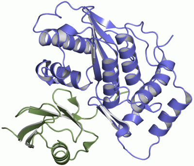 Image Asym./Biol. Unit - manually