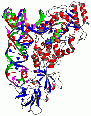 Image Asym./Biol. Unit - manually