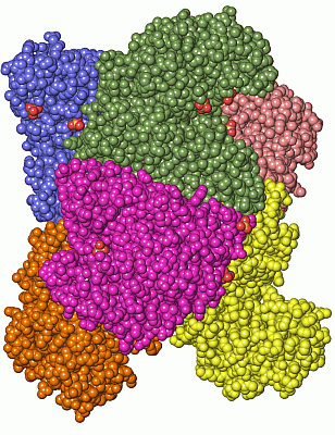 Image Asym./Biol. Unit - manually