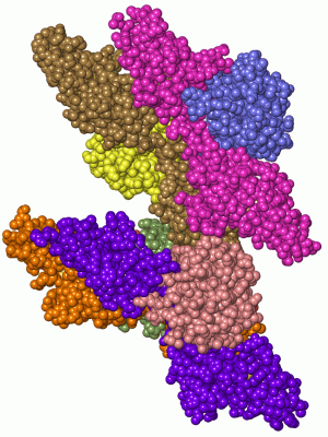 Image Asym./Biol. Unit - manually