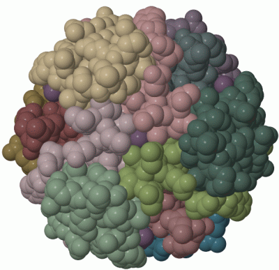 Image Biol.Unit 1 - manually