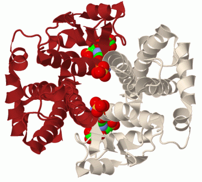 Image Biol.Unit 1 - manually