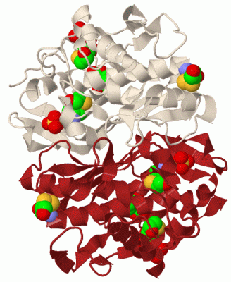 Image Biol.Unit 1 - manually