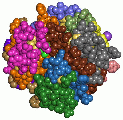 Image Asym./Biol. Unit - manually