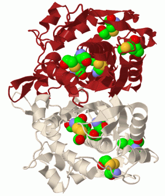 Image Biol.Unit 1 - manually