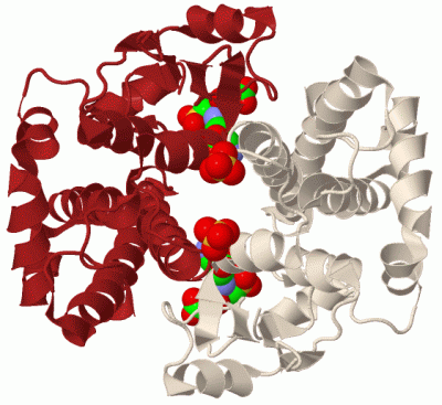 Image Biol.Unit 1 - manually