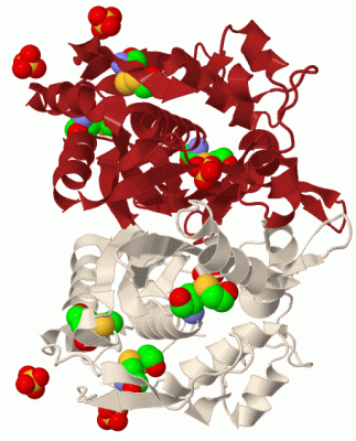 Image Biol.Unit 1 - manually