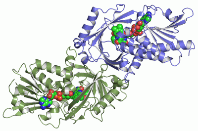 Image Asym./Biol. Unit - manually