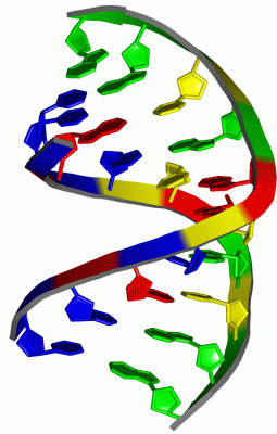 Image Asym./Biol. Unit - manually