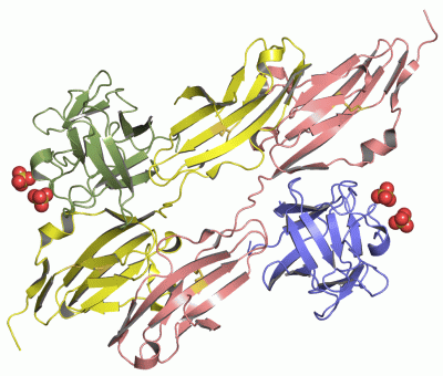 Image Asym./Biol. Unit - manually