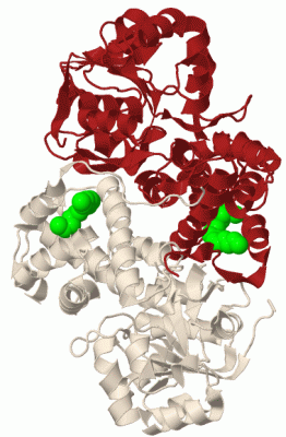 Image Biol.Unit 1 - manually