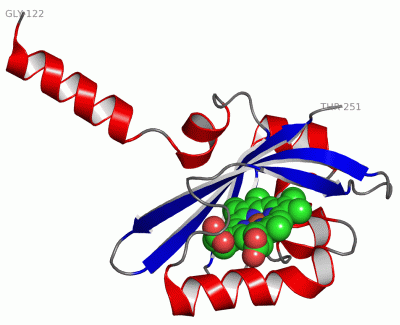 Image Asym./Biol. Unit - manually