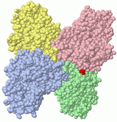 Image Asym./Biol. Unit - manually