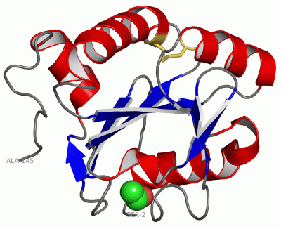 Image Asym./Biol. Unit - manually