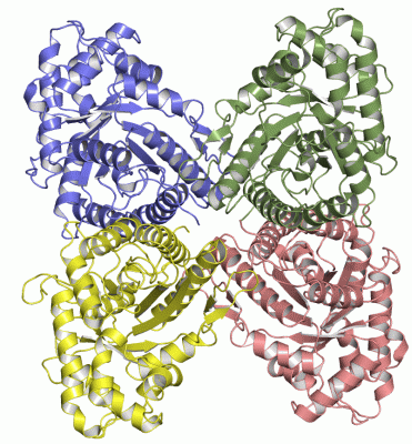 Image Asym./Biol. Unit - manually