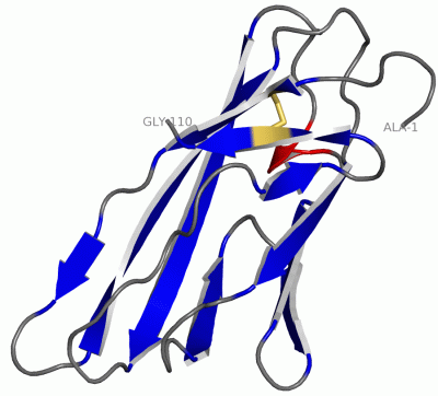 Image NMR Structure - manually