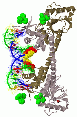 Image Biol.Unit 1 - manually