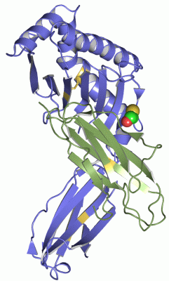 Image Asym./Biol. Unit - manually