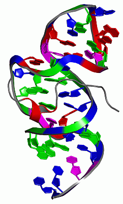 Image NMR Structure - manually