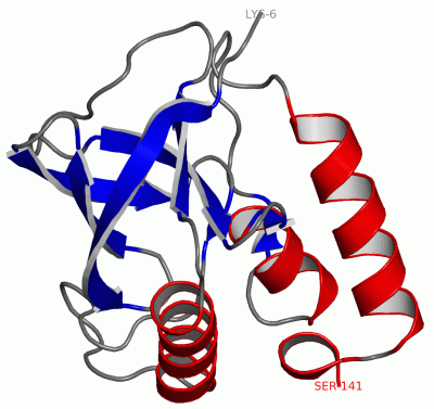 Image Asym./Biol. Unit - manually