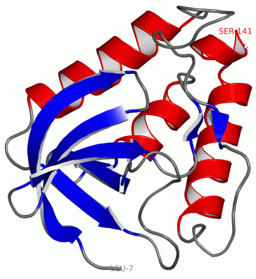 Image Asym./Biol. Unit - manually