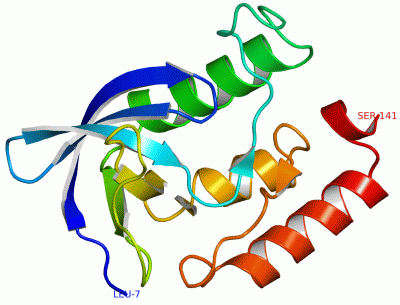 Image Asym./Biol. Unit - manually