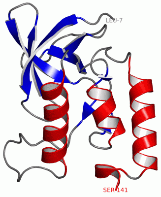 Image Asym./Biol. Unit - manually