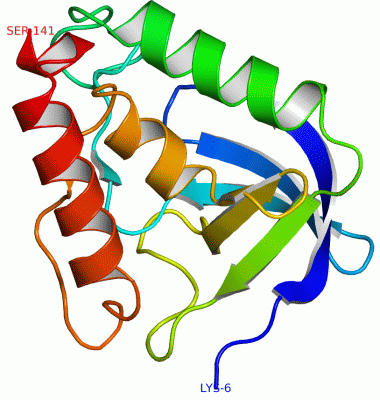 Image Asym./Biol. Unit - manually