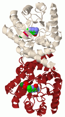 Image Biol.Unit 1 - manually