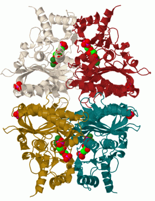 Image Biol.Unit 1 - manually