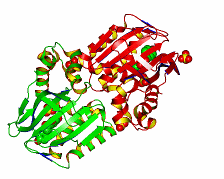 Image Asym.Unit - manually