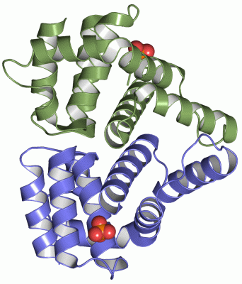 Image Asym./Biol. Unit - manually