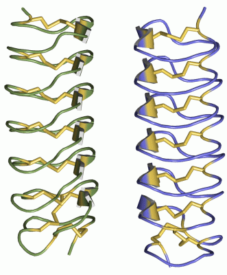 Image Asym./Biol. Unit - manually