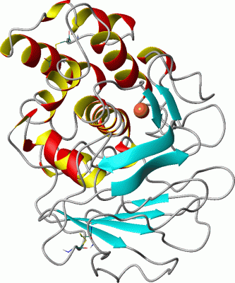 Image Asym./Biol. Unit - manually