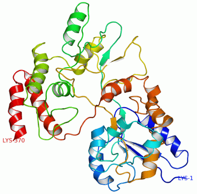 Image NMR Structure - manually