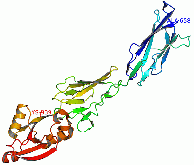 Image Asym./Biol. Unit - manually