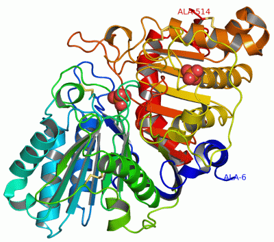 Image Asym./Biol. Unit - manually